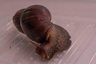 Similar image 21819765