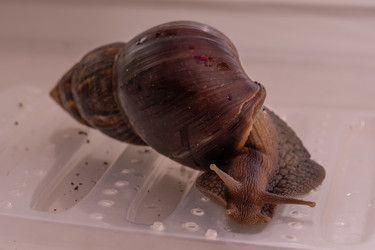 Similar image 21819767