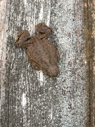 Similar image 21814538