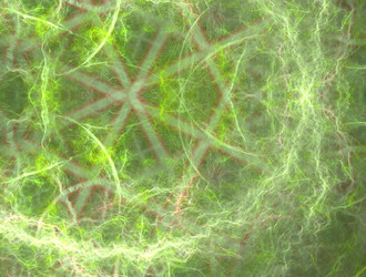 Similar image 21819338