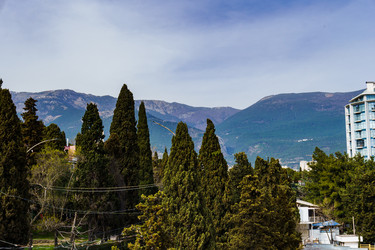 Similar image 21817909