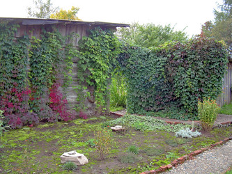 Similar image 21815016