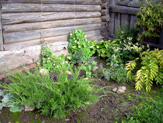 Similar image 21815017