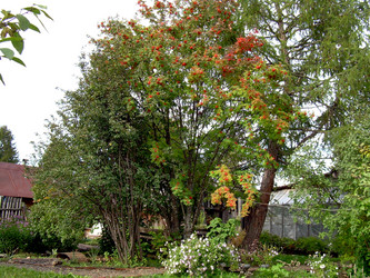 Similar image 21815021