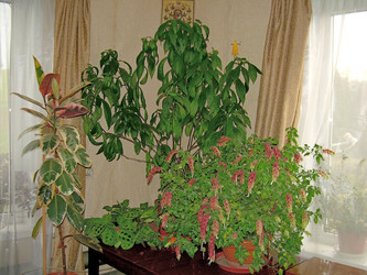 Similar image 21815022