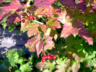 Similar image 21815023