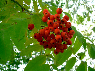 Similar image 21815024