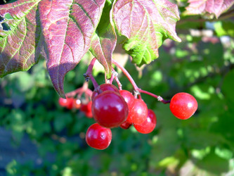 Similar image 21815026