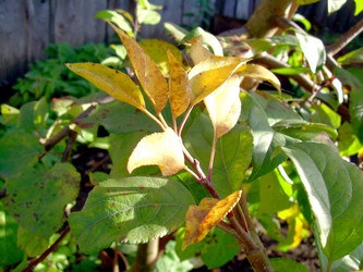 Similar image 21815027