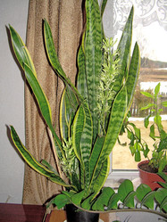 Similar image 21815028