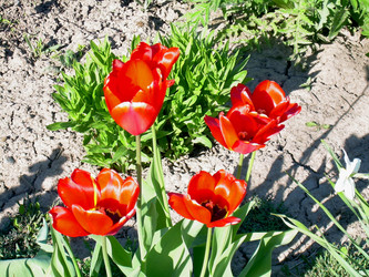 Similar image 21815030