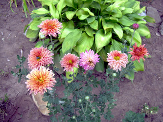 Similar image 21815031