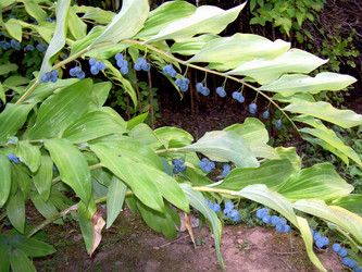 Similar image 21815032