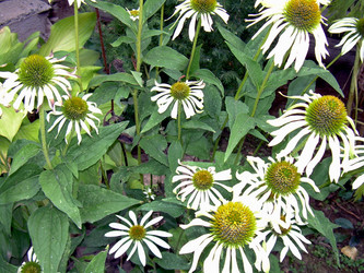 Similar image 21815033