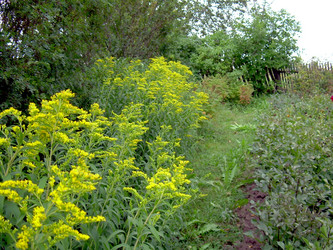 Similar image 21815035