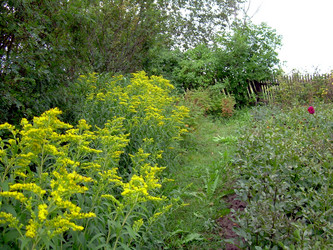 Similar image 21815036