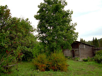 Similar image 21815037