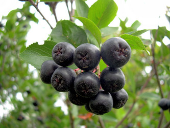 Similar image 21815038