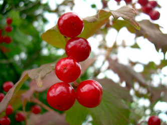 Similar image 21815039