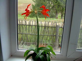 Similar image 21815040