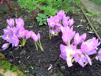 Similar image 21815041