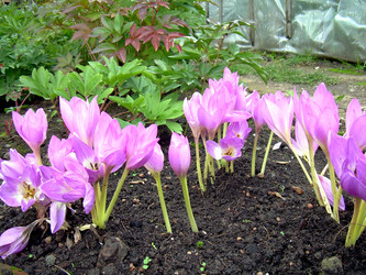 Similar image 21815042