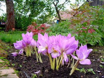 Similar image 21815043