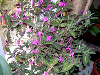 Similar image 21815045