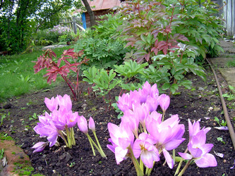 Similar image 21815047