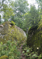 Similar image 21817915