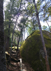 Similar image 21817917