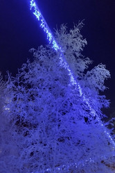 Similar image 21817921