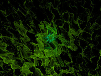 Similar image 21817481