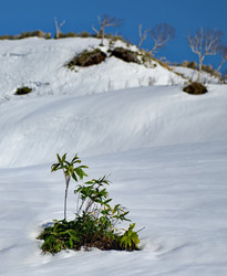 Similar image 21814564