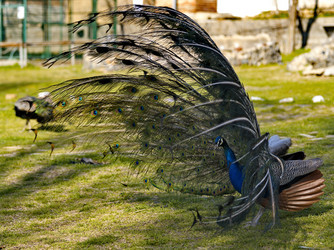 Similar image 21816163