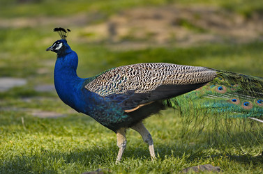 Similar image 21816167