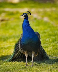 Similar image 21816169