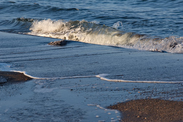 Similar image 21819339