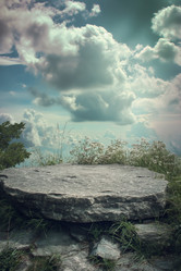 Similar image 21814606