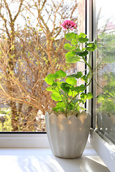 Similar image 21818096