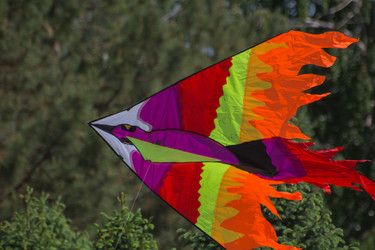 Similar image 21815904