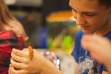 Similar image 21815908