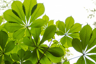 Similar image 21815913