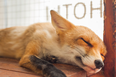 Similar image 21814936