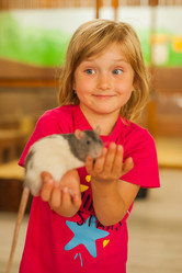 Similar image 21815915