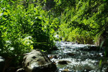 Similar image 21814938