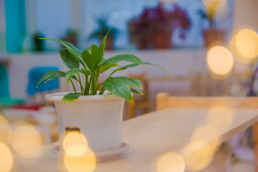 Similar image 21814940