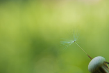 Similar image 21814944