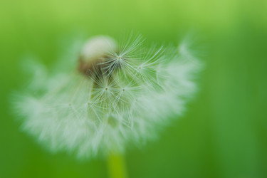 Similar image 21814948