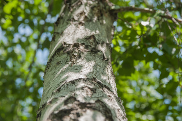 Similar image 21814955